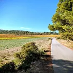 Au Coeur Des Vignes, à Deux Pas De La * Armissan