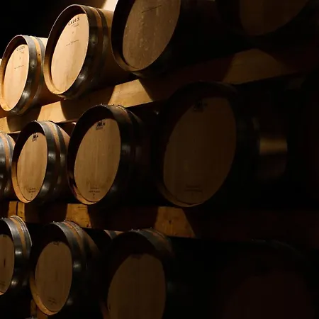 Appartamento Au Coeur Des Vignes, à Deux Pas De La Armissan