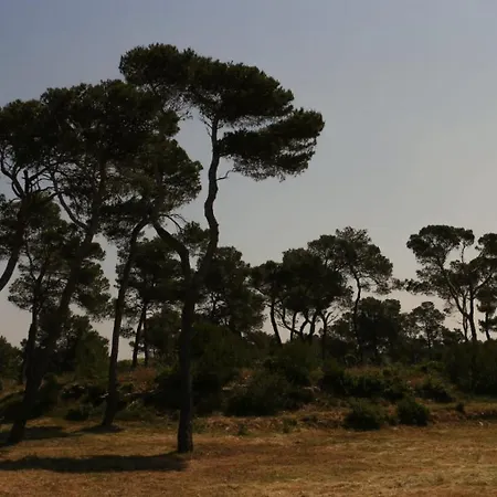 Au Coeur Des Vignes, à Deux Pas De La *