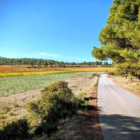 Au Coeur Des Vignes, A Deux Pas De La * Armissan