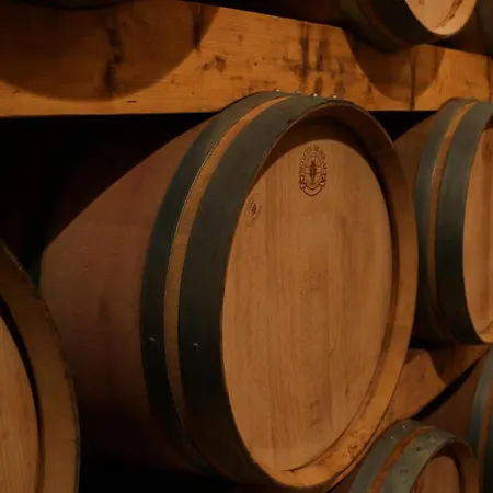 Au Coeur Des Vignes, à Deux Pas De La Appartamento