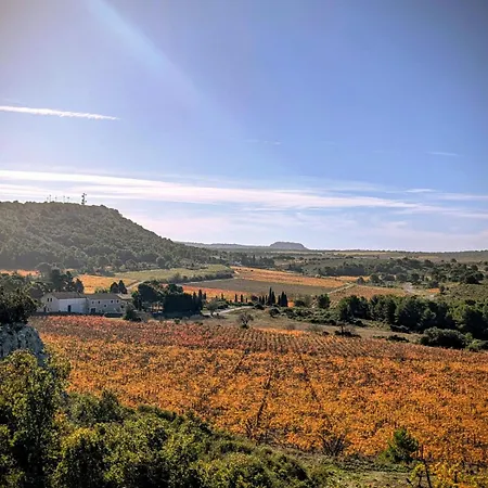 Apartmán Au Coeur Des Vignes, A Deux Pas De La Armissan