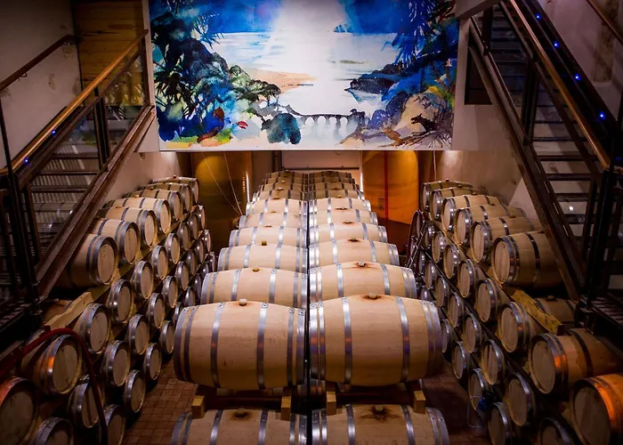 Au Coeur Des Vignes, A Deux Pas De La * Armissan