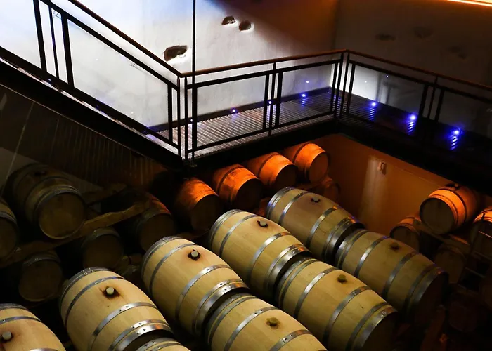 Au Coeur Des Vignes, A Deux Pas De La *