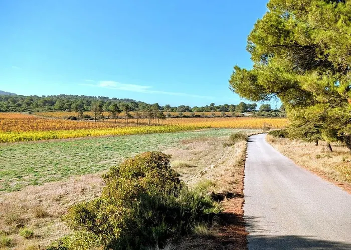 Au Coeur Des Vignes, A Deux Pas De La * Armissan